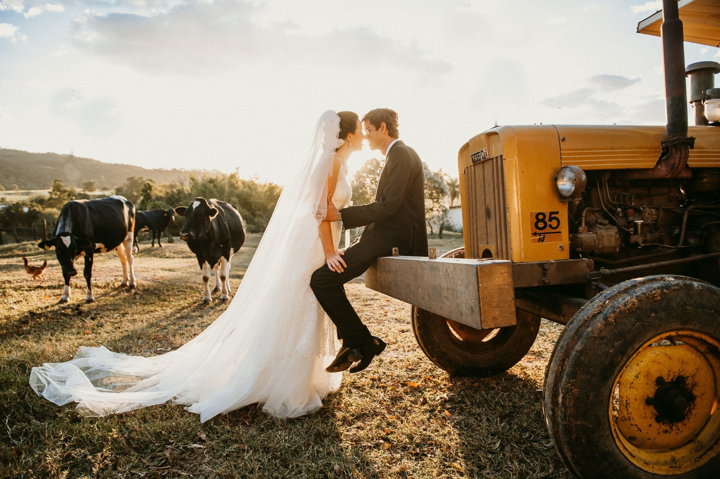 Foto de Carol e Fernando Lutterbach 30