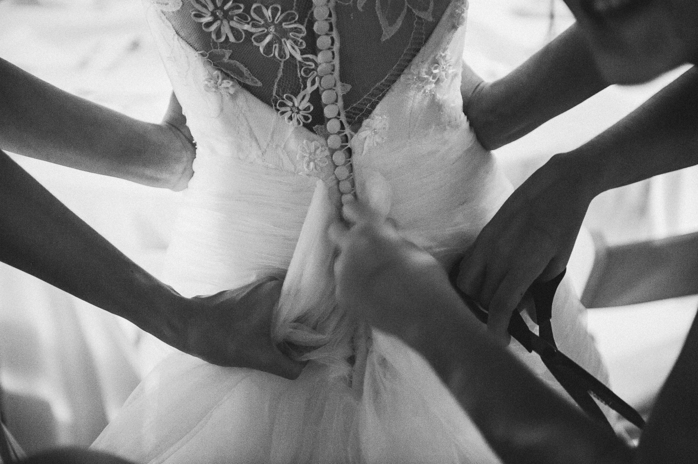 Foto de Carol e Fernando Lutterbach 19