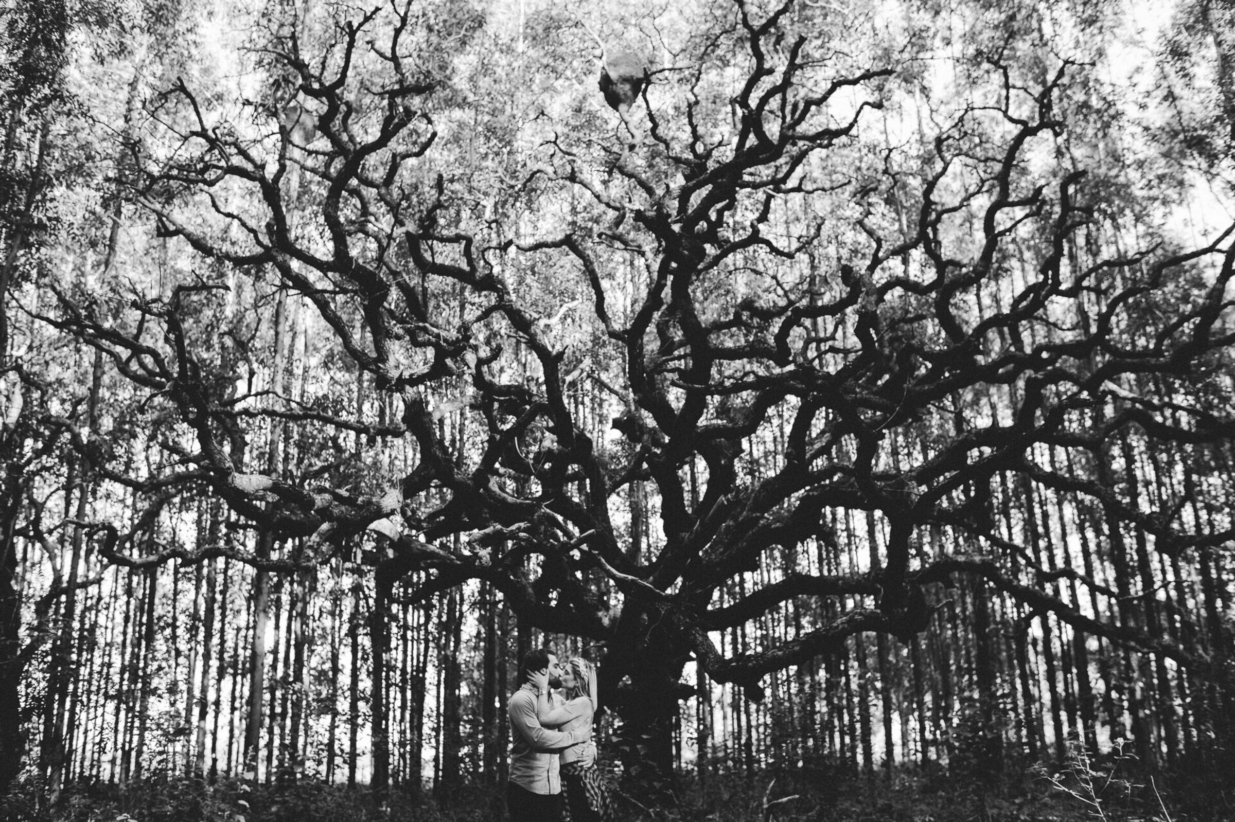 Foto de Carol e Fernando Lutterbach 4