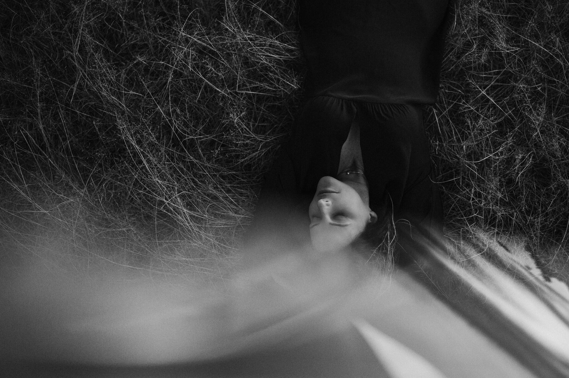 Foto de Carol e Fernando Lutterbach 5