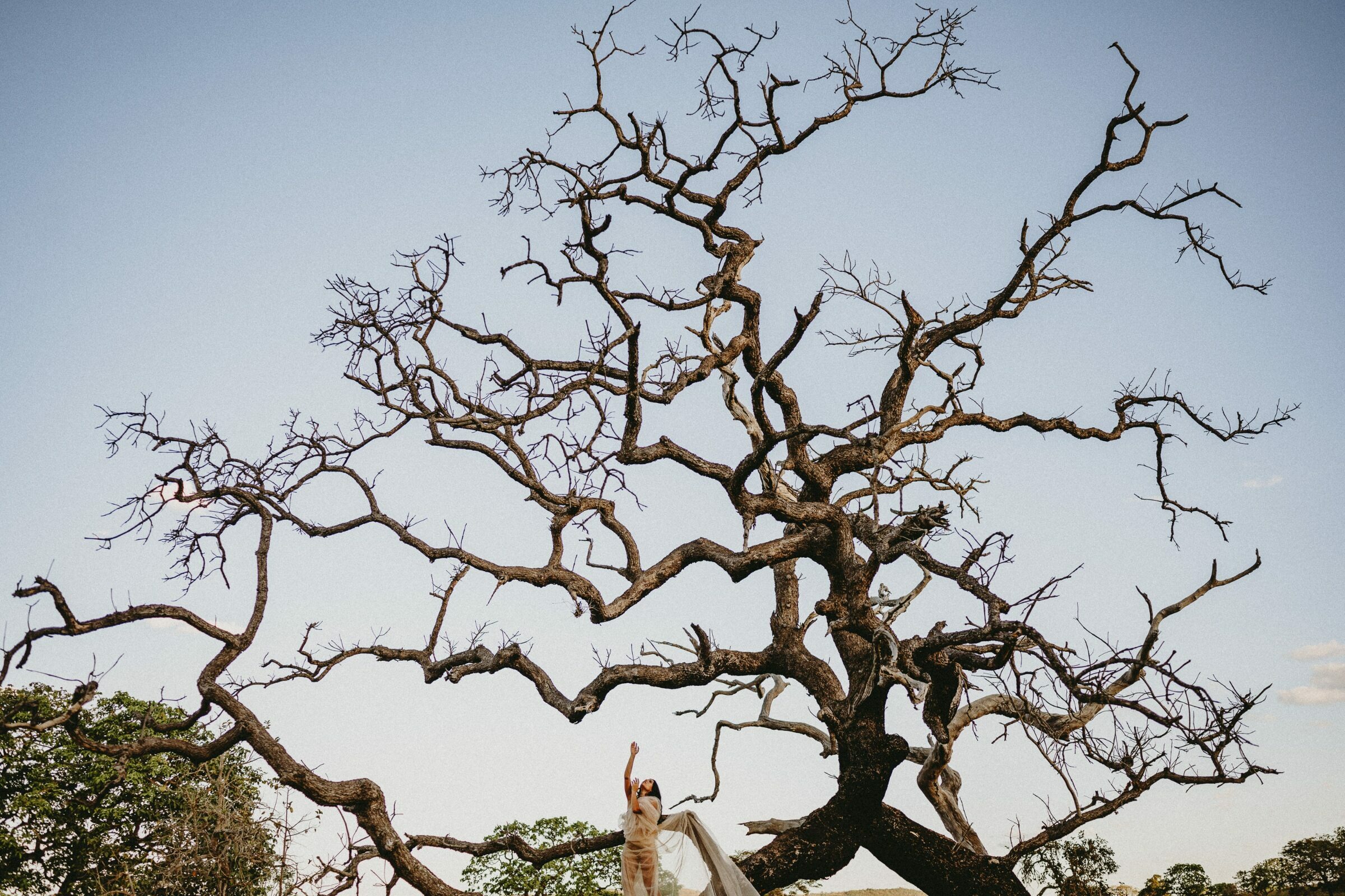 Foto de Carol e Fernando Lutterbach 6