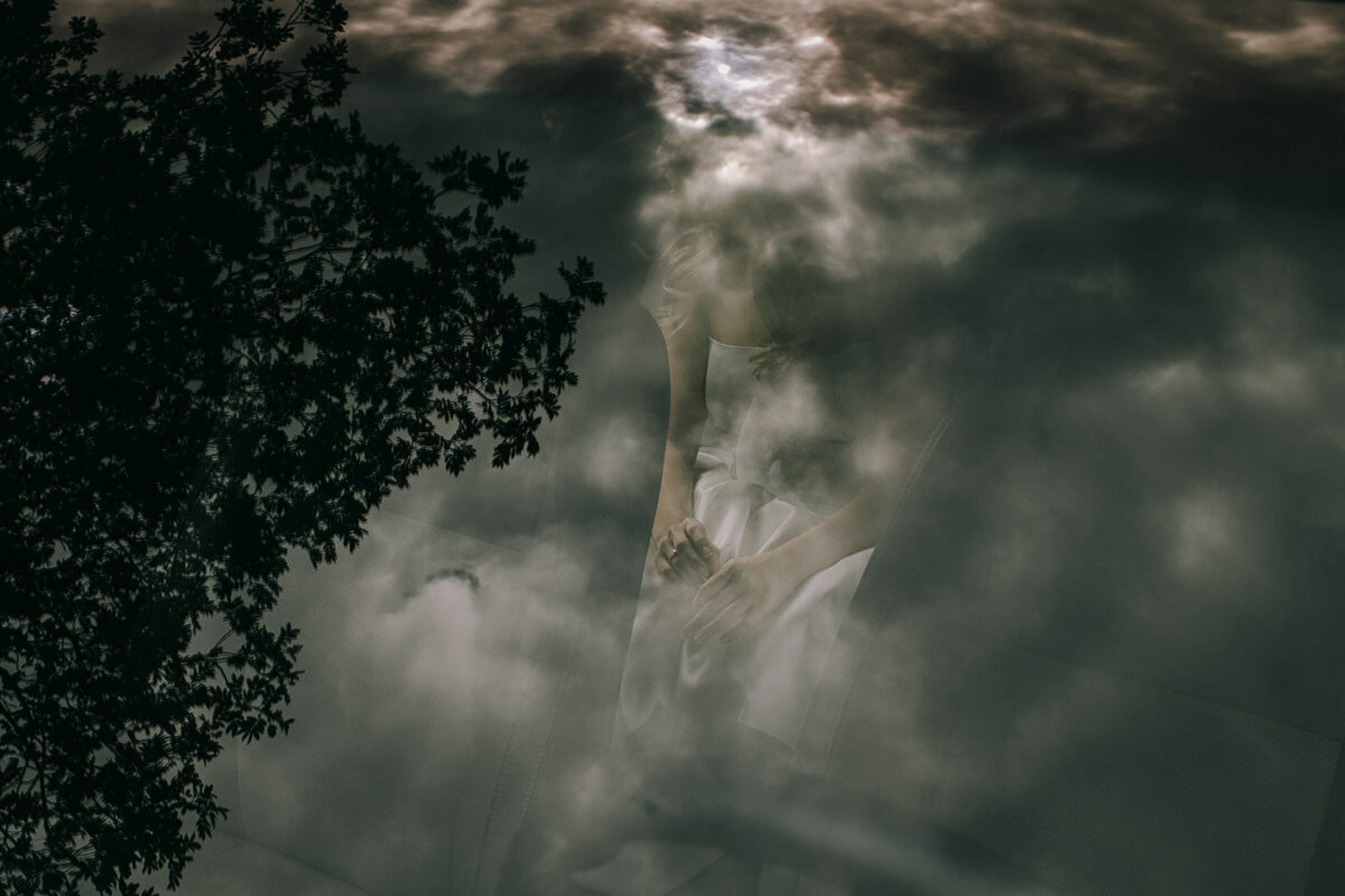 Foto de Carol e Fernando Lutterbach 3