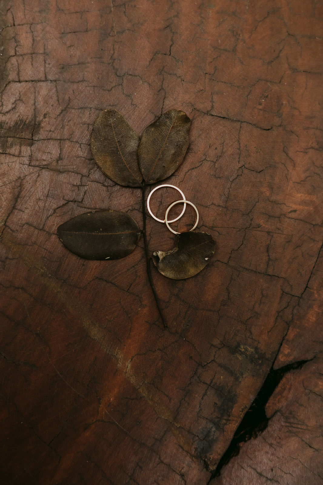 Foto Pós-casamento no Sítio Paraíso da Mata - Imagem 16